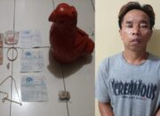 Curi Emas dan Celengan Milik Keponakan, Pria Asal Probolinggo Diamankan Polisi