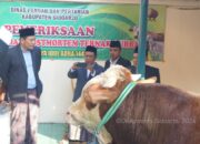 Pemkab Sidoarjo Serahkan Sapi Qurban 1 Ton , Plt Bupati Pererat Silaturahmi dan Kebersamaan