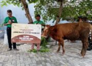 Kapolri Sumbang Satu Ekor Sapi Kurban kepada Ketua Ormas TKN