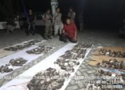 Lomba Menembak Tikus di Minggir, Sleman Per Ekor Dihargai Rp 4 Ribu