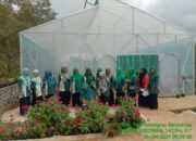 Ketua KWT Srikandi Ajak Anggotanya Kunjungi KWT Setia Tani Karangrau Banyumas