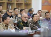 Ini Penjelasan BP Batam Tentang Komisi VI DPR RI Yang Tunda RDP