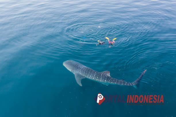 sumbawa