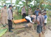 Mayat Lansia 80 Tahun Ditemukan di Area Persawahan Desa Tegalontar Pekalongan