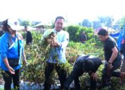 Bahtiar Dorong Petani Sulbar Tingkatkan Produksi, Sediakan Bibit Gratis