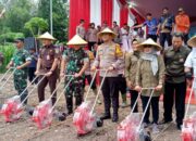 Polresta Sidoarjo Gaungkan Ketahanan Pangan Lewat Penanaman Jagung Serentak