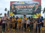 H. Ali Sadikin Hadiri Penanaman Jagung Serentak 1 Juta Hektar di Musi Rawas