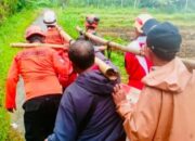 Update Korban Longsor Petungkriyono Pekalongan : 22 Meninggal, 5 Hilang