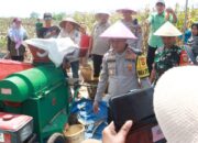 Polres Lahat Gelar Panen Raya Jagung, Dukung Ketahanan Pangan di Kabupaten Lahat