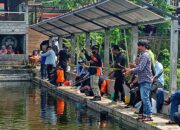 Tingkatkan Serapan Ikan Konsumsi, Puluhan Wartawan Sleman Mancing Bersama