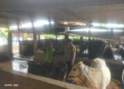 Dekat dengan Warga, Bhabinkamtibmas Pertapan Maduretno Dukung Peternak Sapi untuk Ketahanan Pangan