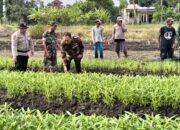 Bhabinkamtibmas Gamping Dorong Ketahanan Pangan, Budidaya Kangkung Jadi Solusi