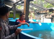 Kapolsek Taman Dorong Peran Bhabinkamtibmas dalam Wujudkan Ketahanan Pangan Bergizi