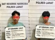 Polres Lahat Tangkap Dua Pengedar Ganja di Desa Air Lingkar, Barang Bukti Siap Diusut
