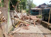 Izin Ternak Babi Sudah Ada Tapi Rumah Diblokade Warga