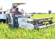 Wagub Emil Dardak: Produktivitas Padi di Ponorogo Diatas Rata-Rata Jatim