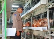Polisi Sahabat Petani, Bhabinkamtibmas Wedoro Dampingi Warga Budidaya Ternak di Pekarangan