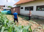 Bhabinkamtibmas Pangkemiri Dampingi Petani Semangka, Dukung Ketahanan Pangan Lokal