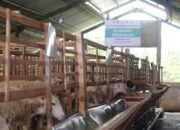 BAZNAS RI Luncurkan Balai Ternak di Blora