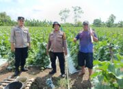 Dukung Ketahanan Pangan, Bhabinkamtibmas Dampingi Perawatan Tanaman Hortikultura di Desa Bakungpringgodani