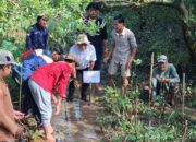 Mahasiswa Pecinta Alam dan Ketua DPRD DIY Tanam Mangrove di Hutan Mangrove Baros