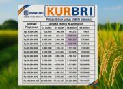 Bunga KUR BRI 2025 Tetap 3%, UMKM Dapat Modal Ringan