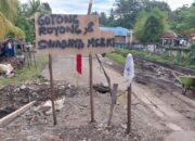 Akses Terputus, Warga dan Pemdes Ahu Bangkit Bersama Perbaiki Jalan Rusak ke Dungkait