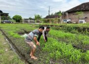 Bhabinkamtibmas Desa Wonoplintahan bersama Warga Optimalkan Kelola P2B