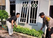 Bhabinkamtibmas Pangkemiri Tinjau Pekarangan Sayur, Dorong Ketahanan Pangan Bergizi di Desa