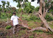 Tutup Akses Tambang, Tapi Tak Sentuh Mafia Hutan, Abdul Azis: Ada Apa dengan LSM dan Media Siti Jenar?