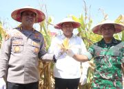 Panen Raya Jagung di Sidoarjo Kuartal III, Bukti Sinergi Wujudkan Swasembada Pangan Nasional