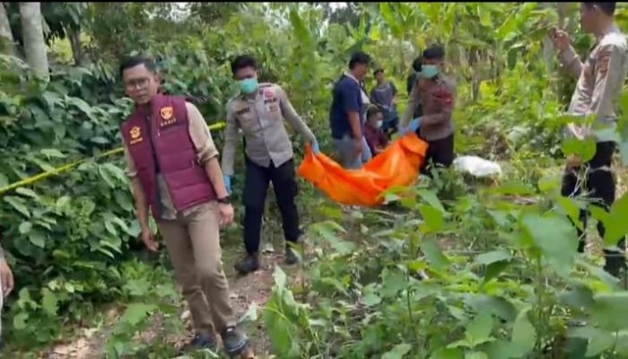 Polda Sumsel Selidiki Penemuan Tulang Belulang Manusia di Kebun Pisang