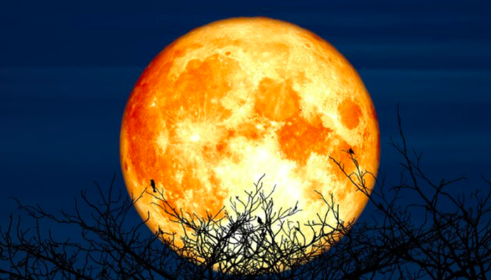 Supermoon Terbesar 2025 Muncul di Langit Indonesia