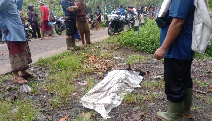 Tiga Mahasiswa KKN UIN Walisongo Tewas Terseret Arus di Tubing Genting Jolinggo, Tiga Lainnya Masih Dicari