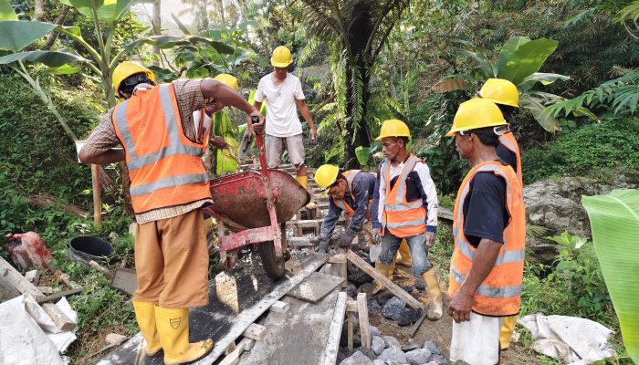 Program P3-TGAI Dorong Peningkatan Produktivitas Pertanian di Desa Ngadirejo