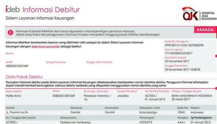 Rahasia Lolos BI Checking: Cara Cek SLIK OJK dan Naikkan Skor Kredit