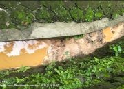 Pengolahan Emas Ilegal di Purworejo Diduga Masih Beroperasi, Limbah Mengalir ke Parit