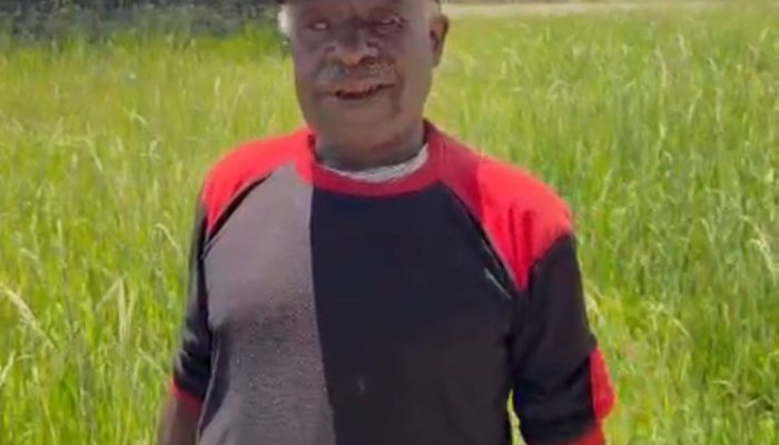 Kepala Suku Ilaga Tolak Kelompok Pengganggu Pembangunan Puncak