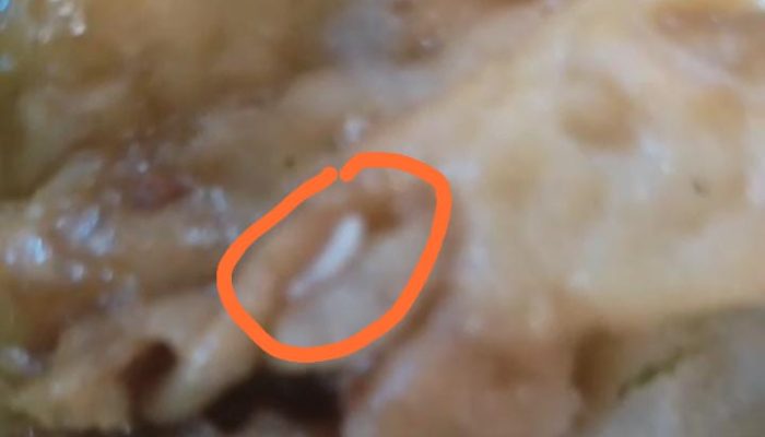 Menu MBG Sidodadi Diduga Tak Higienis, Ditemukan Ulat pada Jatah Balita dan Ibu Hamil