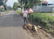 Jalan Berlubang dan Minim PJU di Krejengan Disorot, Tanggung Jawab Pemkab Probolinggo Dipertanyakan