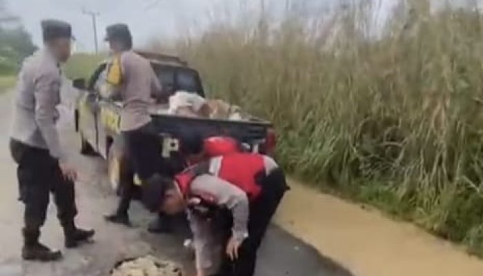 Cegah Kecelakaan, Polsek BTS Ulu Timbun Jalan Berlubang di Jalur Musi Rawas–PALI