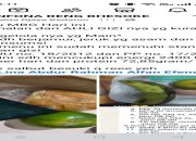 Viral Dugaan Roti Berjamur di MBG SPPG Besuki 2, Publik Desak Audit Transparan