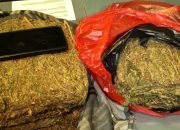 Polda Metro Jaya Gagalkan Peredaran 4,3 Kg Ganja di Depok, Satu Tersangka Ditangkap
