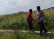 Kapolresta Sidoarjo Dorong Polsek Aktif Kawal Program Ketahanan Panga