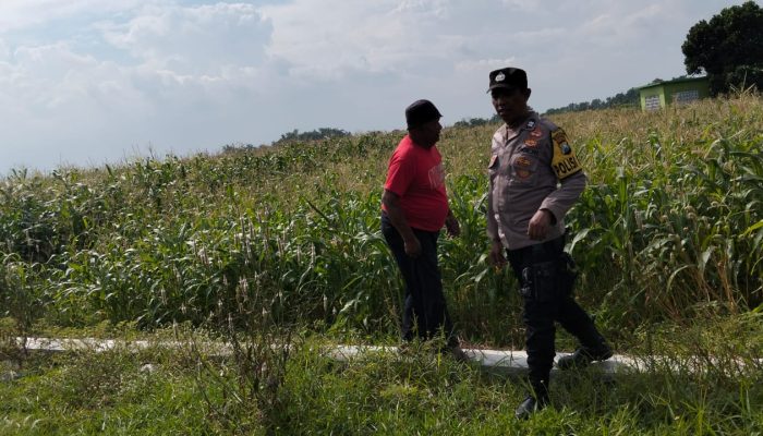 Kapolresta Sidoarjo Dorong Polsek Aktif Kawal Program Ketahanan Panga