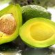 Tak Semua Orang Aman Makan Alpukat, Ini 4 Golongan yang Sebaiknya Menghindarinya