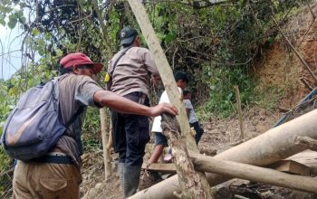 Longsor Tambang Ilegal di Kalumpang Tewaskan Dua Penambang, Aktivitas Terlarang Kembali Disorot