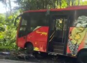 Keluhan Pengendara Soal Trans Jateng Rute Purworejo-Magelang, Kerap Ngebut di Jalan