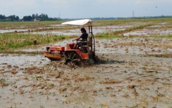 Traktor Perahu Dorong Percepatan Olah Tanah di Karangjati Banyumas
