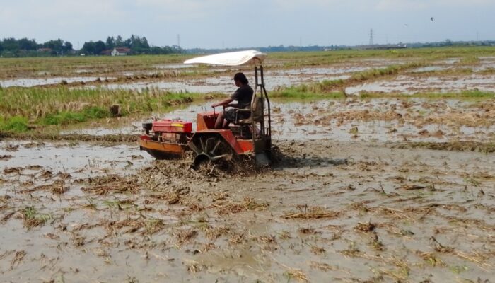 Traktor Perahu Dorong Percepatan Olah Tanah di Karangjati Banyumas